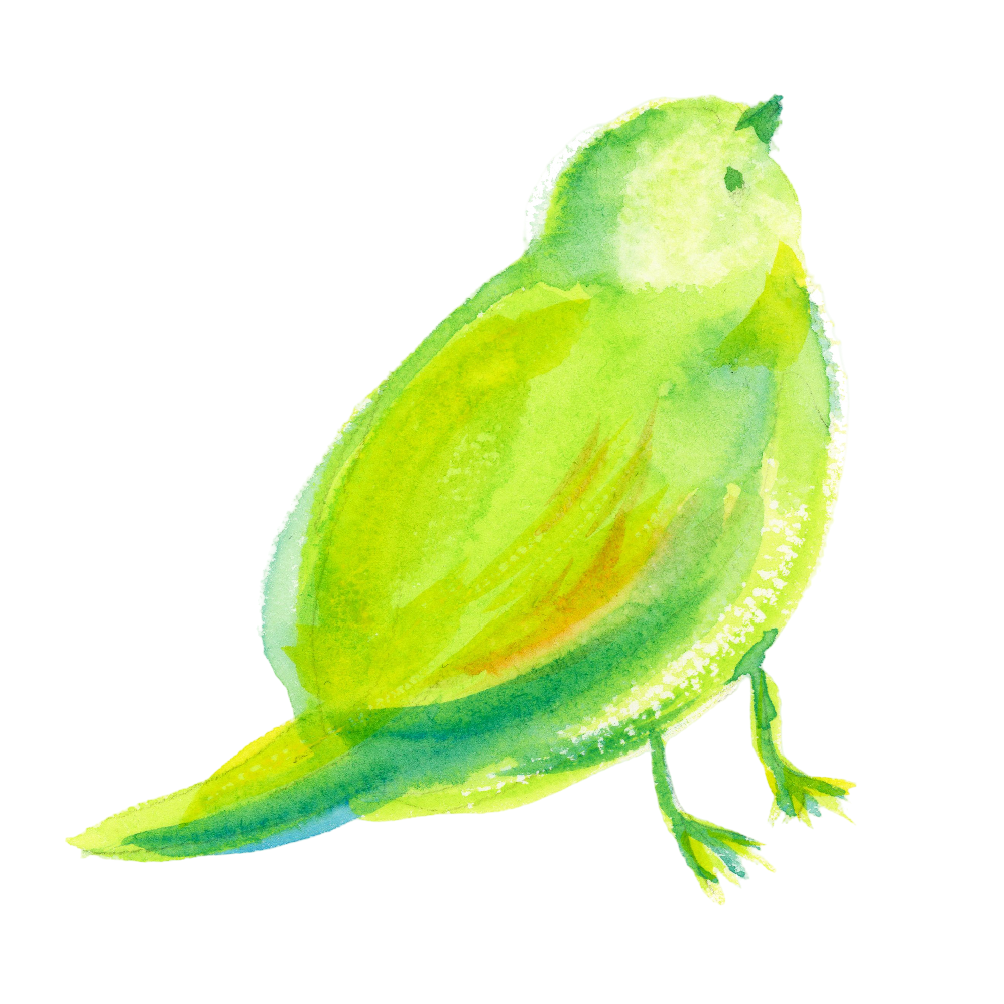 sottoのブランドアイコン